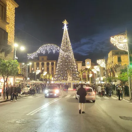 Alojamento de Acomodação e Pequeno-almoço The White 4*